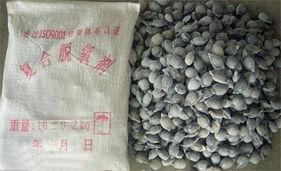 萊蕪(wu)市(shi)鑫力源(yuan)冶(ye)金材料有(you)限(xian)公司 耐(nai)火(huo)制品(pin)與新(xin)型(xing)不(bu)定形(xing)耐(nai)火(huo)材料產(chan)品信(xin)息